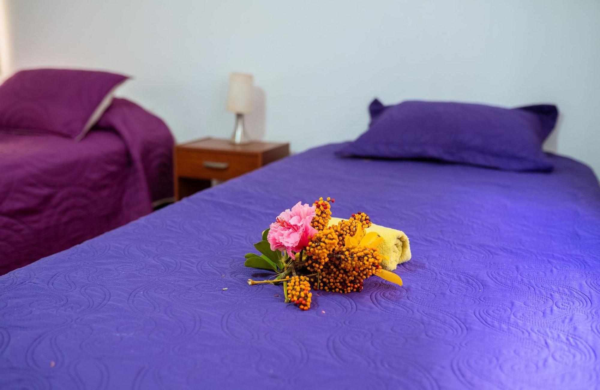 Cabanas Vaiora Hanga Roa Ngoại thất bức ảnh