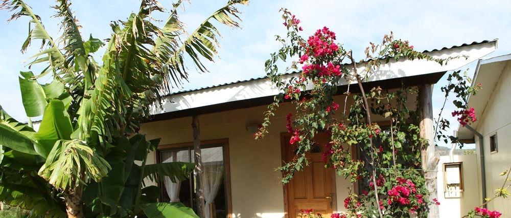 Cabanas Vaiora Hanga Roa Ngoại thất bức ảnh